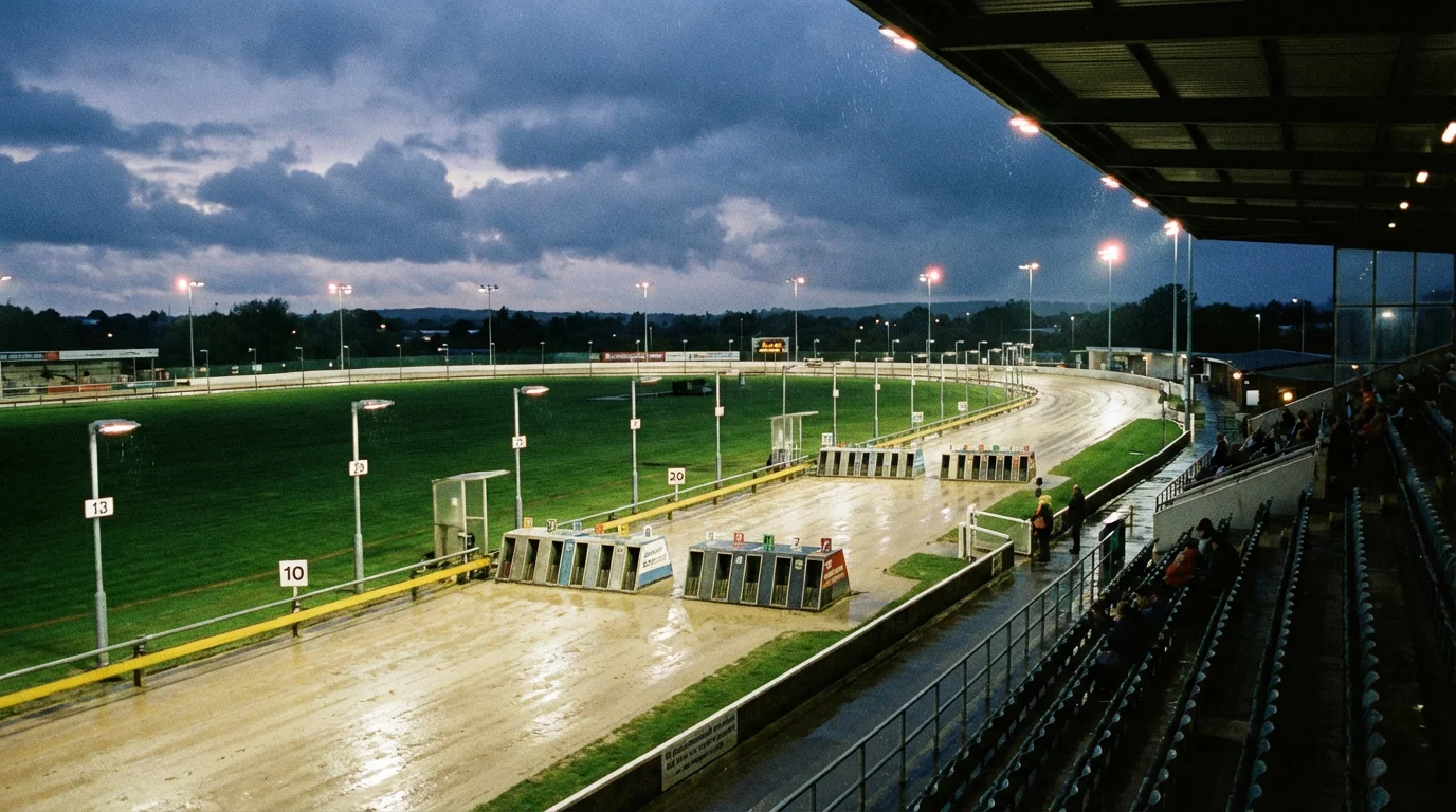 Greyhound track with visible distance start markers at a UK racing stadium